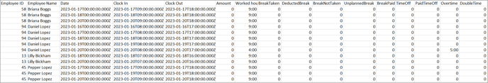 Timesheet Detailed pic